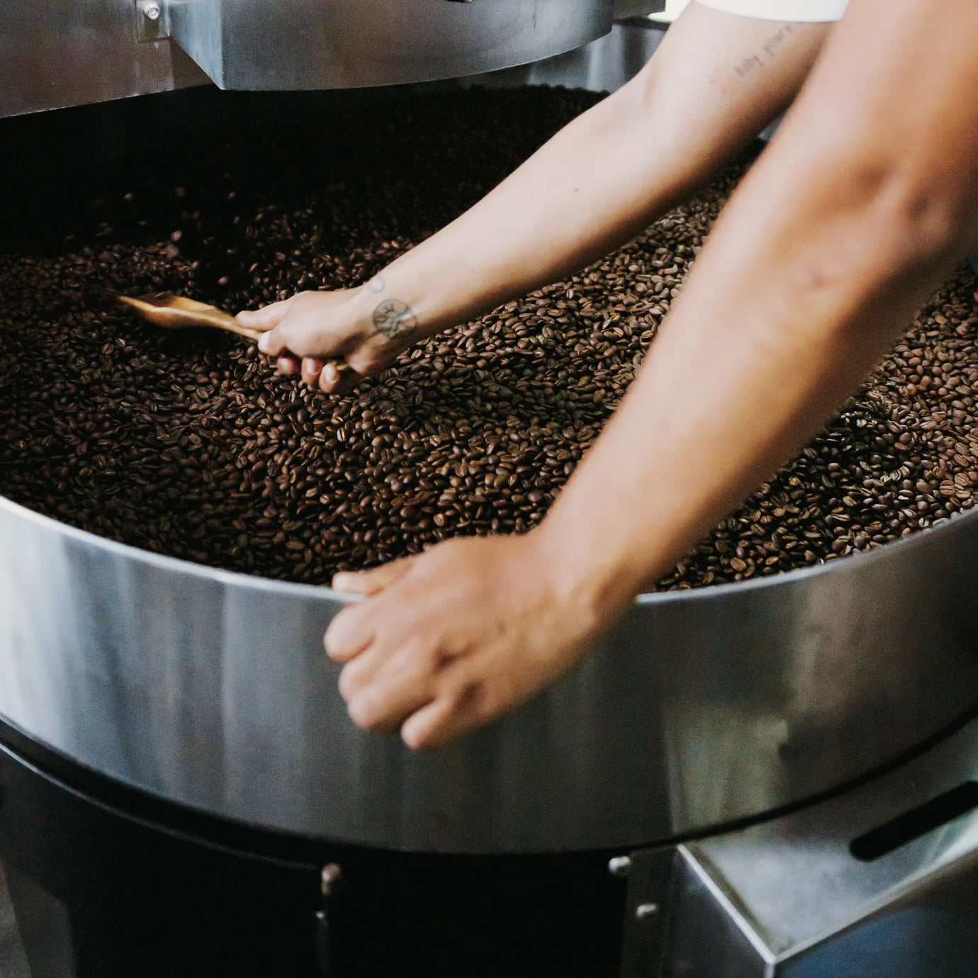 10 Diferencias entre Café de Especialidad y Café Comercial