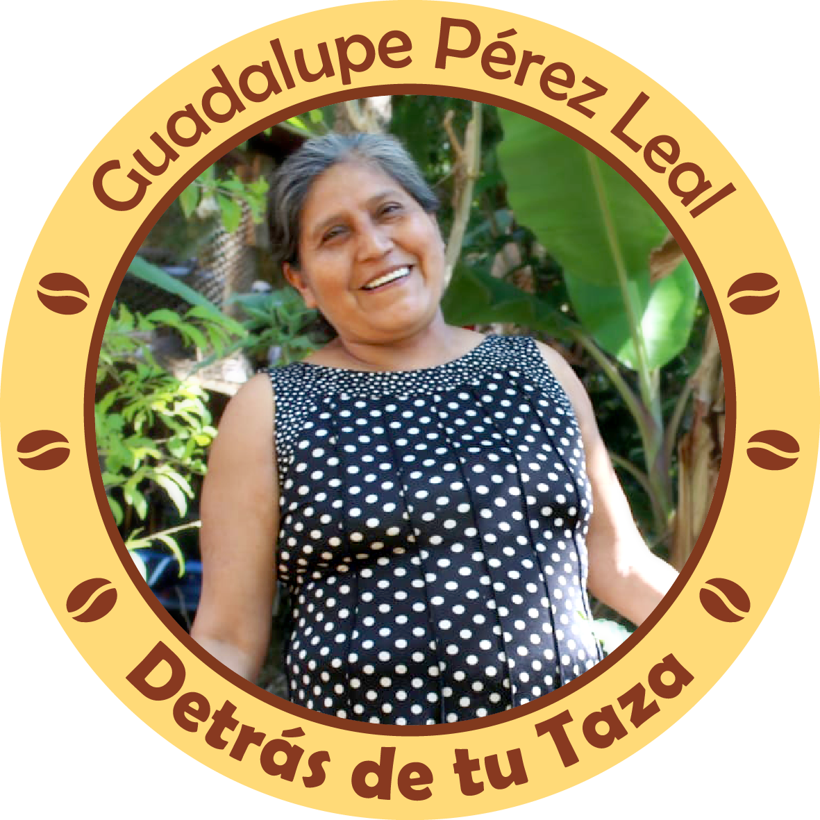 Mujeres Voladoras - Café Brújula